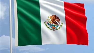 الرئيسة المكسيكية ترد على تقرير 