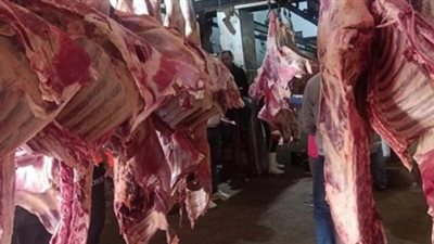 أسعار اللحوم في محلات الجزارة اليوم الخميس 5_12_2024