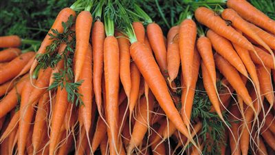 فوائد الجزر للرجال والنساء.. 9 منافع مذهلة لصحة الجسم