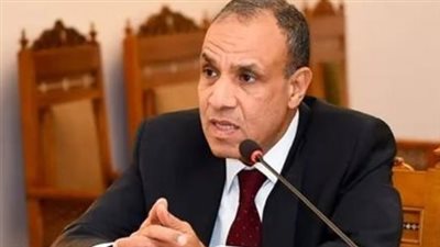 وزير الخارجية المصري يشدد على موقف بلاده الثابت والداعم للدولة السورية