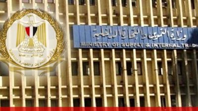 طرح زيت الطعام في سوق اليوم الواحد بأسعار مخفضة.. وزارة التموين توضح