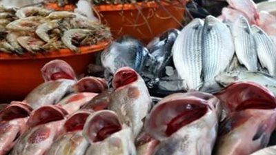 تباين أسعار السمك والجمبري اليوم السبت 7 ديسمبر 2024