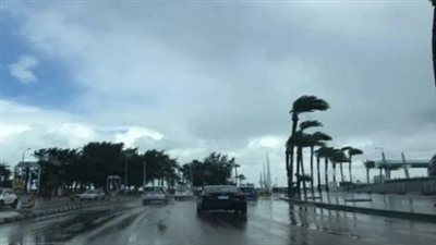 حالة الطقس المتوقعة اليوم السبت 7 ديسمبر 2024، في القاهرة وباقي المحافظات