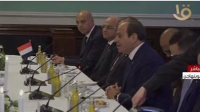  السيسى يلتقى رئيس البرلمان الدنماركى على هامش زيارته إلى البلاد