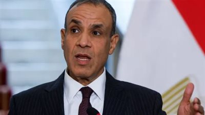 وزير الخارجية المصري يجدد موقف بلاده الثابت والداعم للدولة السورية وسيادتها
