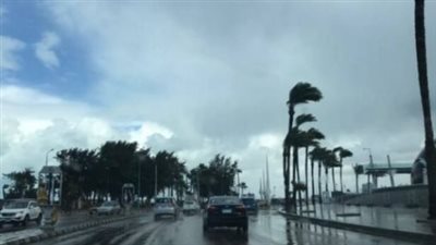  الأرصاد الجوية المصرية تحذر من حالة الطقس اليوم الأربعاء 4 ديسمبر 2024.. أمطار متفاوتة الشدة