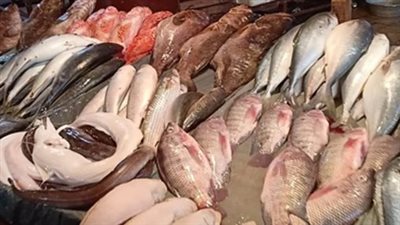 أسعار الجمبري اليوم الثلاثاء 10 ديسمبر 2024