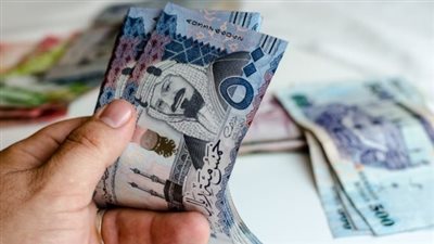 سعر الريال السعودي في البنك المركزي المصري 11_12_2024