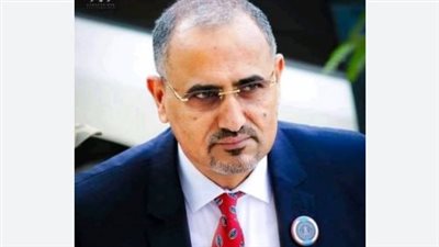 دبلوماسية نشطة.. كيف جسد 