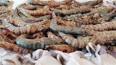 منها السمك والجمبري.. أسعار المأكولات البحرية اليوم الخميس 12 ديسمبر 2024