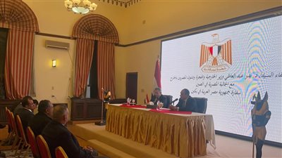 في مُستهل زيارته إلى بكين.. وزير الخارجية والهجرة يلتقي برموز الجالية المصرية في الصين