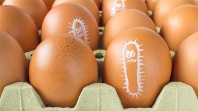 متى تظهر أعراض السالمونيلا وما هي سبل الوقاية من المرض؟