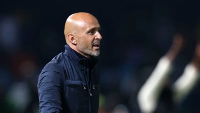 رسميا.. تعيين ميجيل كاردوزو مديرا فنيا لفريق صن داونز