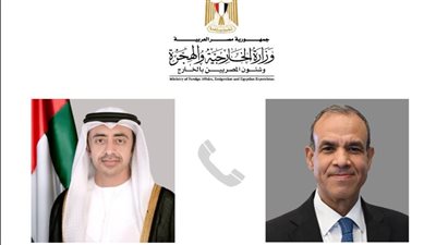 وزير الخارجية المصري يناقش مع نظيره الإماراتي سبل الحفاظ على المؤسسات الوطنية السورية 