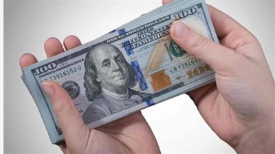 سعر الدولار اليوم السبت 14 ديسمبر 2024 حالةً من الاستقرار أمام الجنيه المصري
