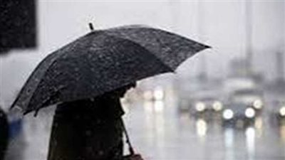 أمطار وشبورة على هذه المناطق.. الأرصاد الجوية المصرية تحذر من حالة الطقس اليوم السبت 14 _12_ 2024