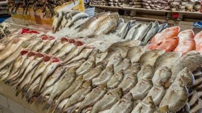 أسعار السمك والجمبري اليوم الأحد 15 ديسمبر 2024