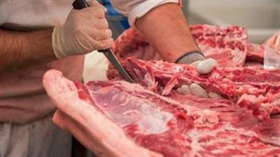 سعر اللحوم البتلو اليوم الإثنين 16_12_2024 