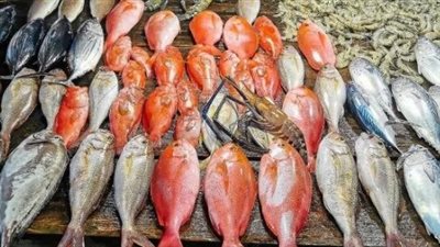  أسعار الأسماك والجمبري اليوم الاثنين 16 ديسمبر 2024