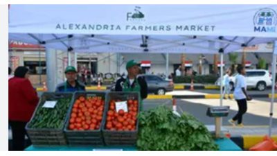  أسعار السلع الغذائية الأساسية بسوق اليوم الواحد