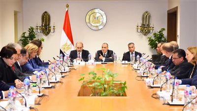 وزير الخارجية يلتقى مع السفراء الأوروبيين المعتمدين في مصر