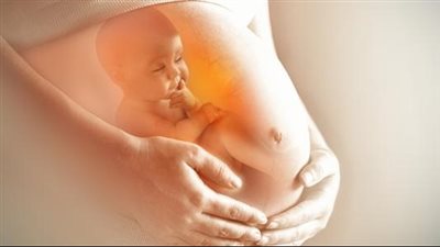 متى تبدأ حركة الجنين.. جدول زمني لتوضيح حركاته بالتفصيل