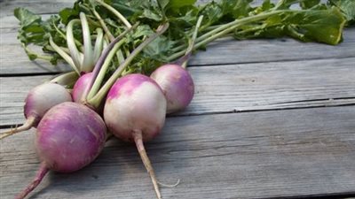 فوائد اللفت للجسم.. كيف يعزز صحة الكلى والمفاصل؟