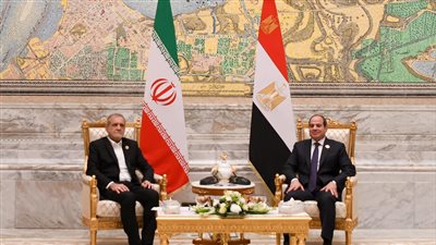 الرئيس السيسي يلتقي نظيره الإيراني على هامش قمة الثماني النامية