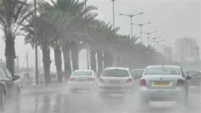 أمطار وشبورة ورياح.. الأرصاد الجوية المصرية تكشف تفاصيل حالة الطقس اليوم السبت 21 ديسمبر 2024