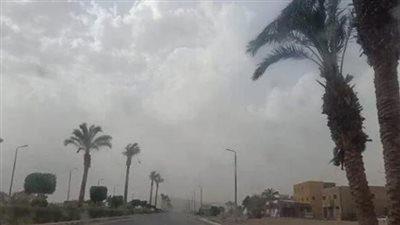  حالة الطقس اليوم الثلاثاء 17 ديسمبر 2024.. درجة حرارة القاهرة كام الآن؟