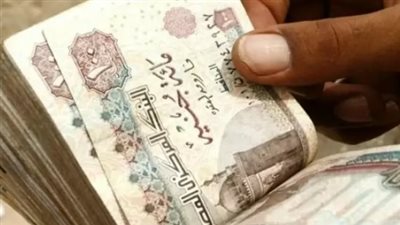 رابط الاستعلام عن معاشات شهر يناير 2025