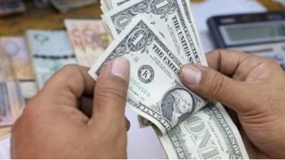 سعر الدولار في البنك المركزي المصري اليوم 22_12_2024