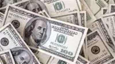 سعر الدولار في البنك المركزي المصري اليوم 23_12_2024