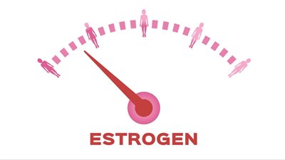 هرمون الأستروجين عند النساء..8 تأثيرات إيجابية على الجسم