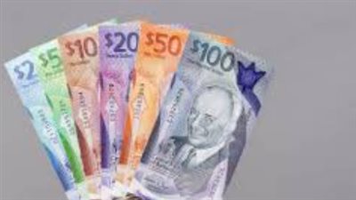 سعر الدولار الكندي في البنك المركزي المصري اليوم 25_ 12_ 2024