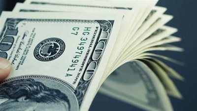 سعر الدولار اليوم مقابل الجنيه قبل اجتماع المركزي المصري 