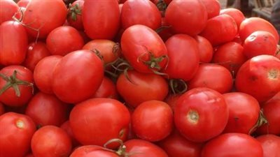  أسعار الخضروات والفاكهة اليوم السبت 28-12-2024