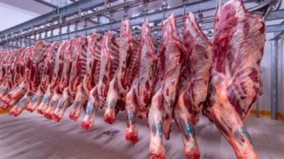 أسعار اللحوم اليوم السبت 28 ديسمبر 2024 في المنافذ المختلفة ومحلات الجزارة
