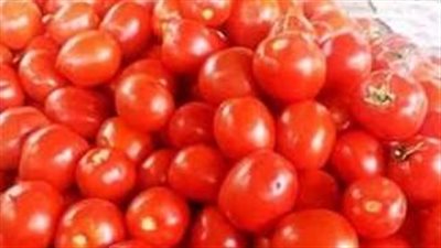  سعر الطماطم الآن في مصر.. الفاكهة بكام؟