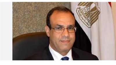 بدر عبدالعاطي: مصر تقدم كل أشكال الدعم لتشاد فى مكافحة الإرهاب