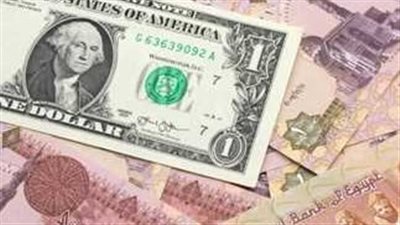 سعر الدولار مقابل الجنيه اليوم الأحد 29 ديسمبر 2024