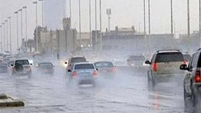 أمطار ورياح وثلوج.. الأرصاد الجوية المصرية تحذر من حالة الطقس اليوم الأحد 29 ديسمبر 2024