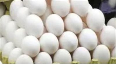 كم سعر البيض البلدي؟