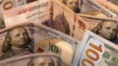 سعر الدولار في البنك المركزي المصري.. بلغ نحو 50.79 جنيه للشراء و50.92 جنيه للبيع