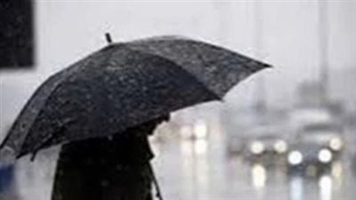 أمطار رعدية.. حالة الطقس ودرجات الحرارة المتوقعة اليوم الثلاثاء 31 ديسمبر 2024 في مصر 