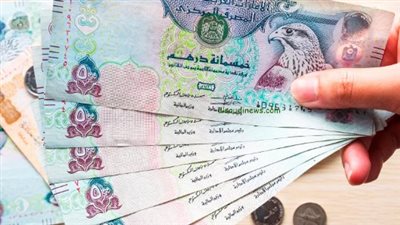 سعر الدرهم الإماراتي أمام الجنيه اليوم الثلاثاء 31_12_2024