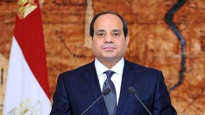 الرئيس السيسي يصدر قرارًا بالموافقة على اكتتاب مصر بزيادة رأس المال بمؤسسة التمويل الدولية
