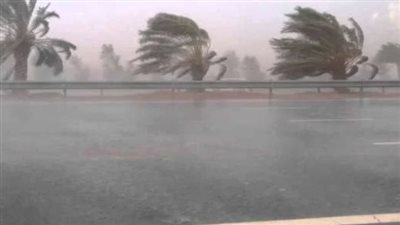 الأرصاد الجوية المصرية تعلن حالة الطقس اليوم السبت 4 يناير 2025