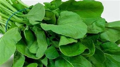 فوائد الجرجير.. 5 منافع مذهلة وتحذير خطير