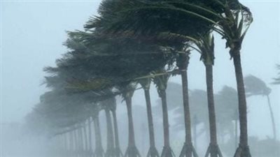 شبورة مائية وأمطار.. حالة الطقس المتوقعة اليوم الثلاثاء 7 يناير 2025 في مصر 